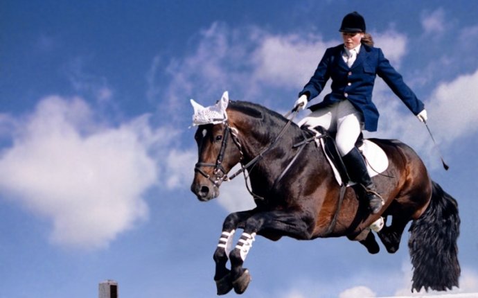 на занятия конным спортом