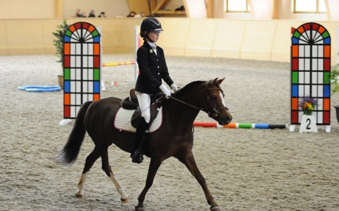 Federation Of Cone Sports