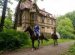 Horses Gob