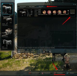 Скрещивание лошадей в Black Desert